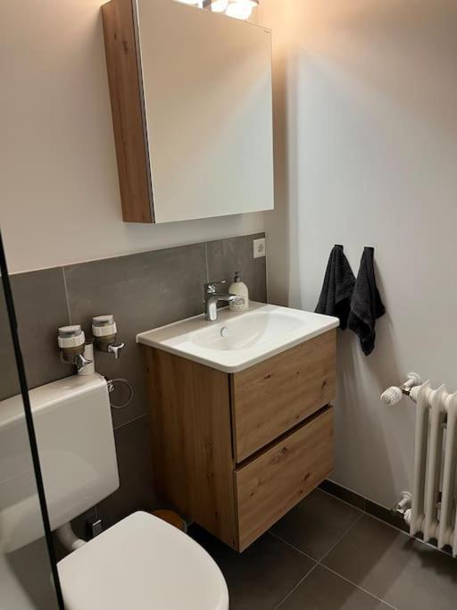 Isaak Appartement Harmonie Kussaberg المظهر الخارجي الصورة